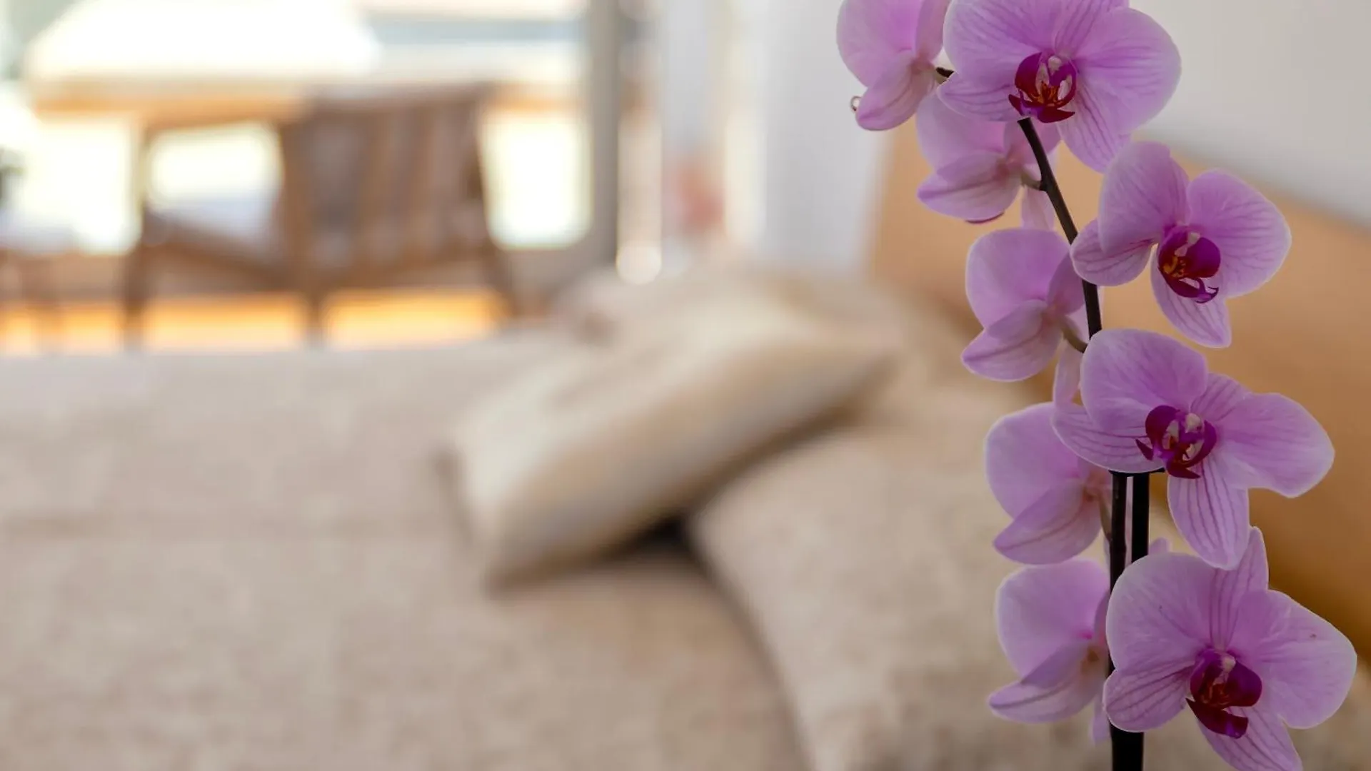 Luxury Seafront Villa With Rooftop Pool & Stunning Sea Views Fertilia 0*,